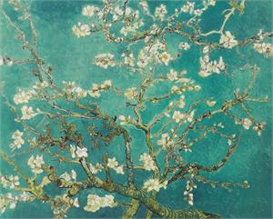 ''Almond Branches in Bloom - 16'''' X 20''''''