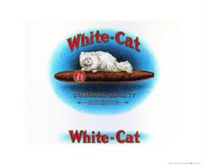 ''White Cat CIGAR Poster - 16'''' X 20''''''