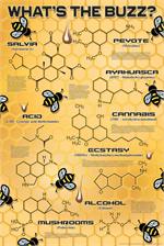 What's The Buzz? Poster - 24