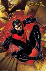 Nightwing Poster - 22.375