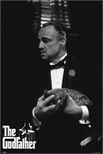 The Godfather - Holding Cat Poster Image