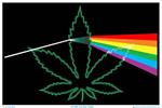 Pot Leaf Prism Black Light Poster Image