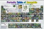 PERIODIC TABLE OF CANNABIS POSTER - 36