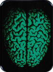 BRAIN LARGE STICKER - 2 1/2