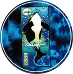 WHALE  - ROUND STICKER - 2 1/2